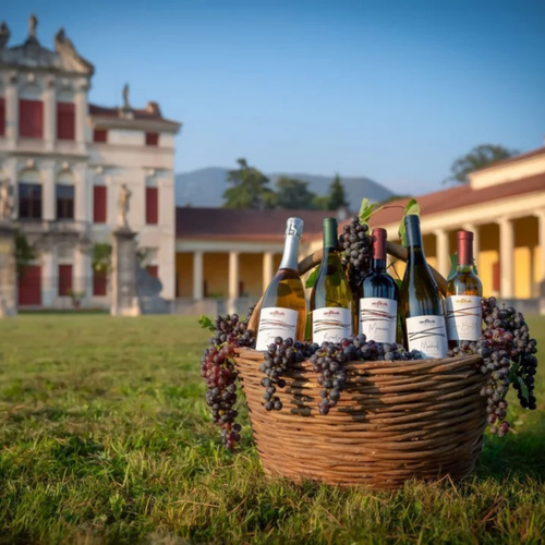 Cantina Le Vie Angarano