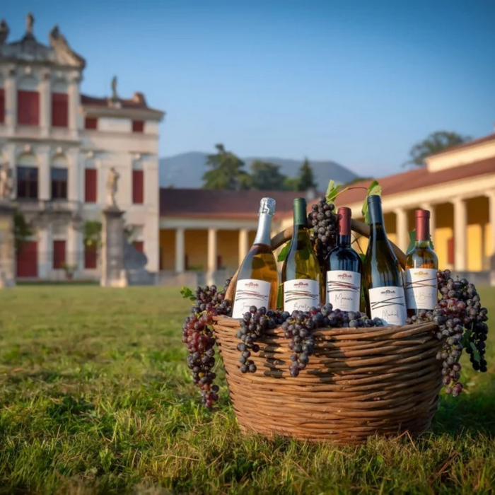 Cantina Le Vie Angarano