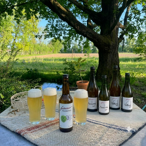 Bottiglie birra bionda italiana artigianale e vino naturale 