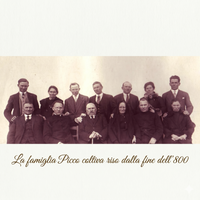 RISO ARBORIO BIO e GLUTEN FREE - CASCINA BELVEDERE  Risicoltori dal 1878