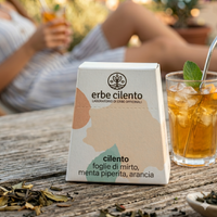 ERBE CILENTO Laboratorio di Erbe Officinali - CILENTO Tisana Estiva Sfusa 50 g