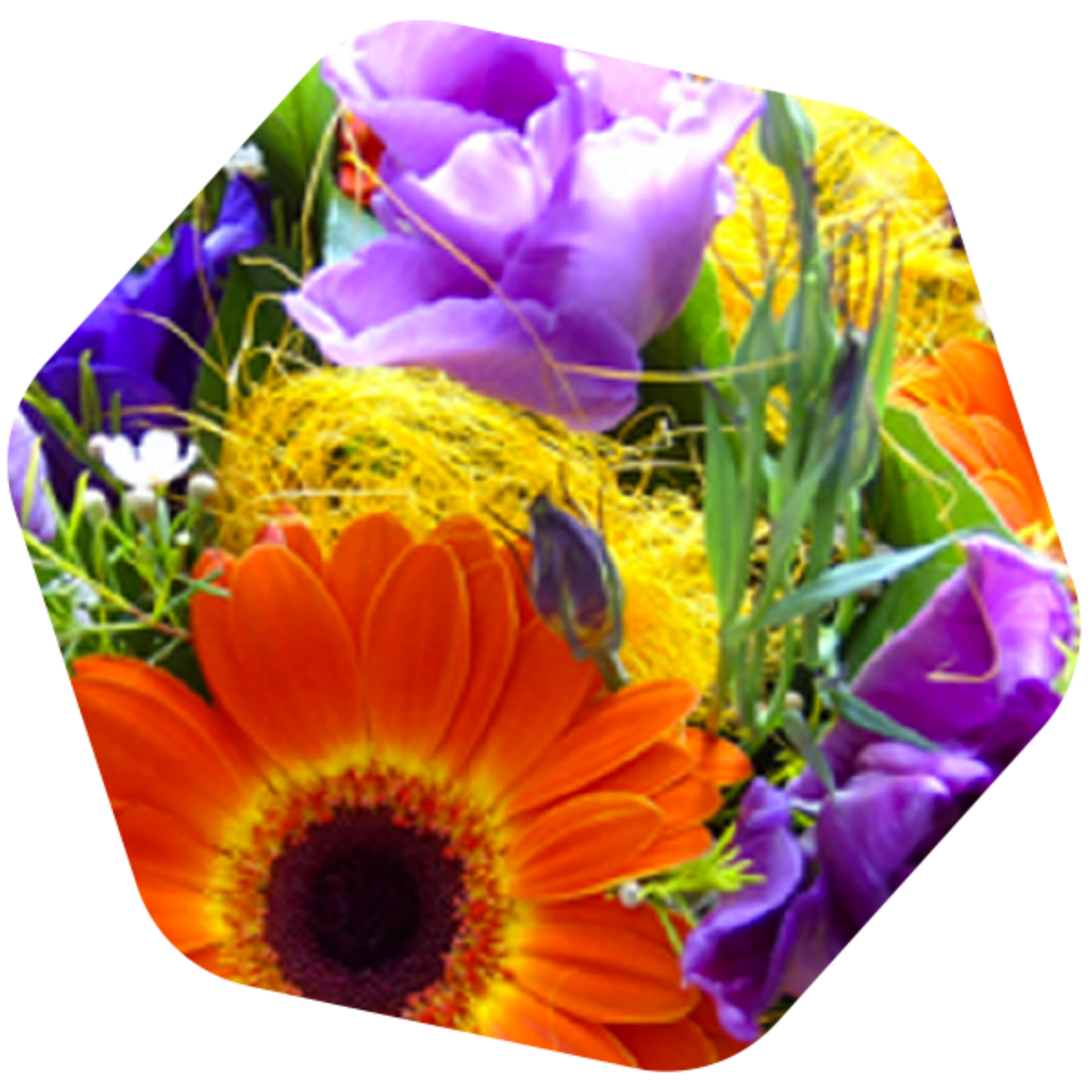 MIELE DI MILLEFIORI BIO e SENZA GLUTINE