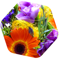 MIELE DI MILLEFIORI BIO e SENZA GLUTINE