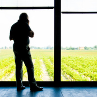 ACETO BALSAMICO di MODENA IGP BIO