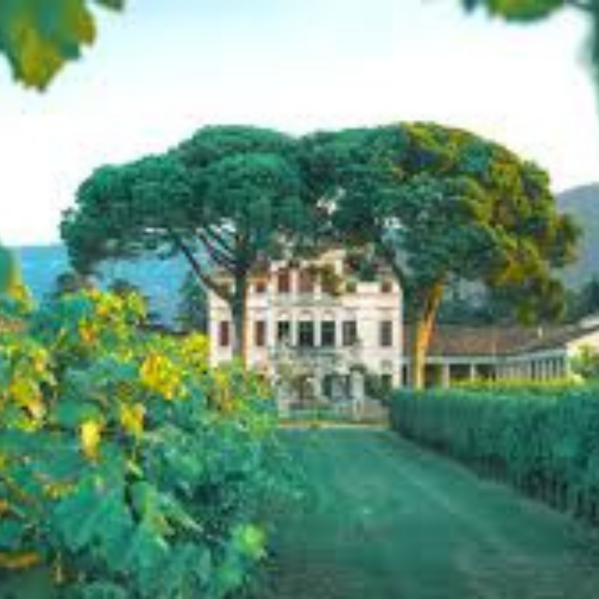 BOCIA ROSSO VENETO IGP - Cantina Le Vie Angarano