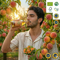 Tomarchio bibite TE' alla PESCA e MELONE con TE' NERO di CEYLON BIO 275 ml