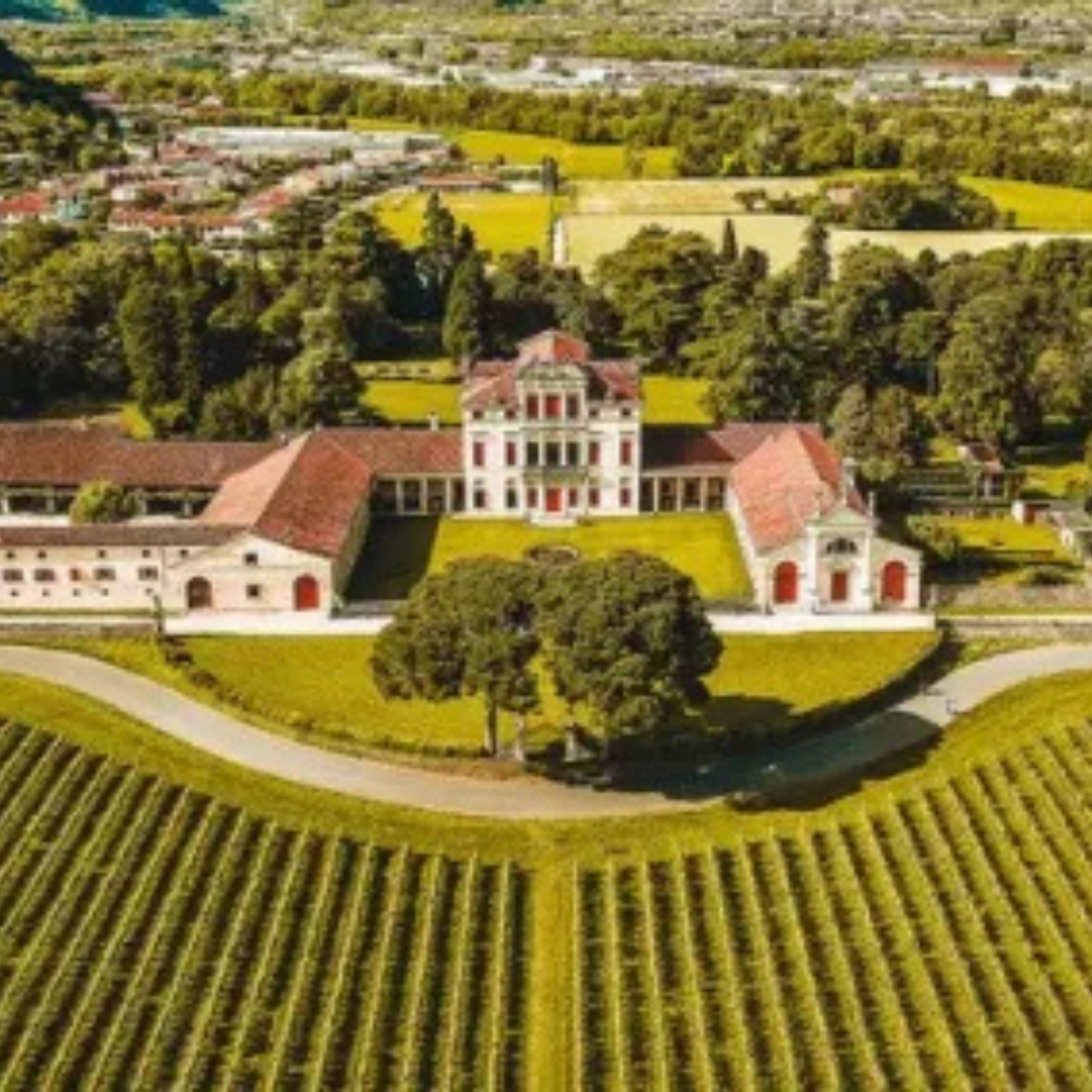 BOCIA ROSSO VENETO IGP - Cantina Le Vie Angarano