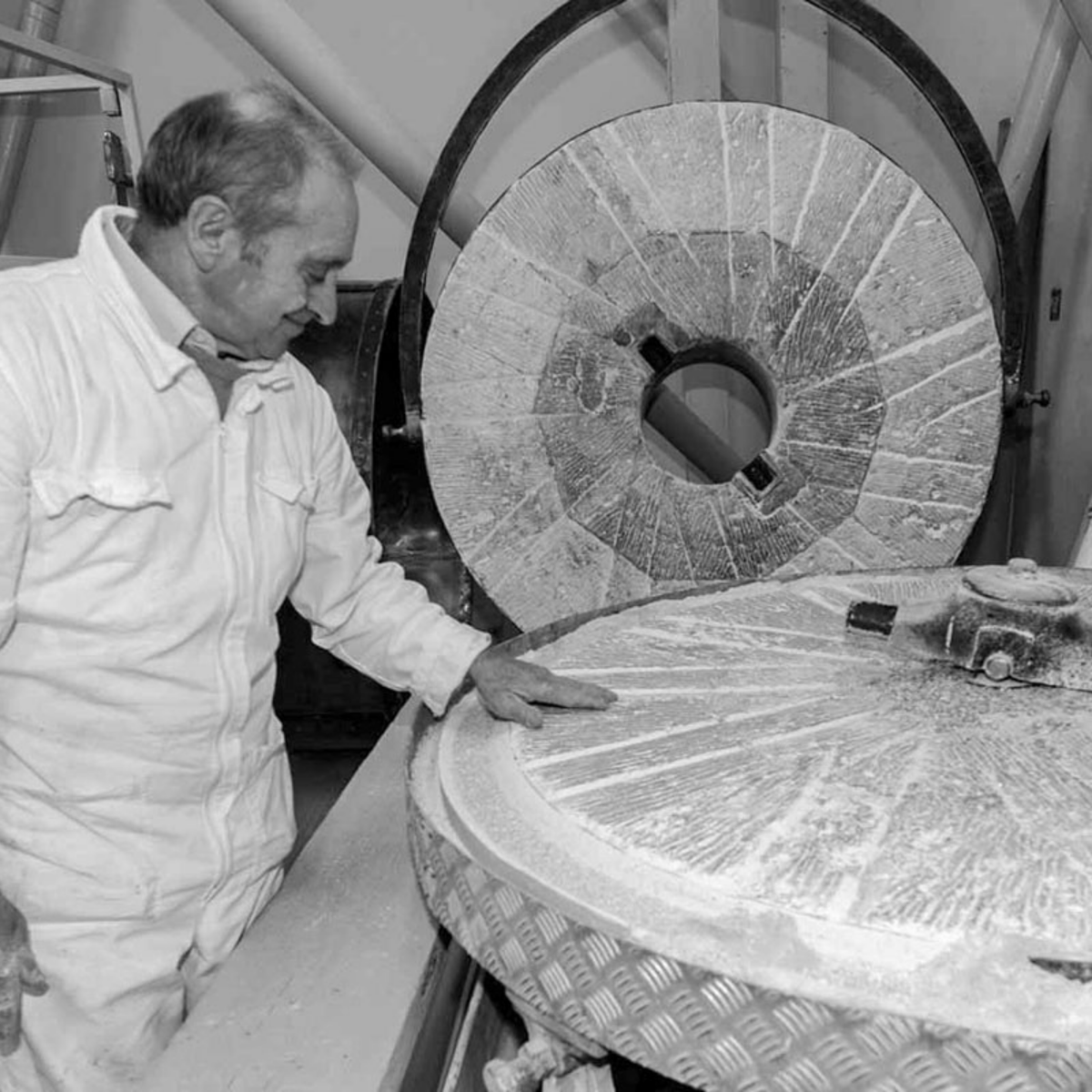 FARINA di FARRO BIO - Macina in Pietra del 1853