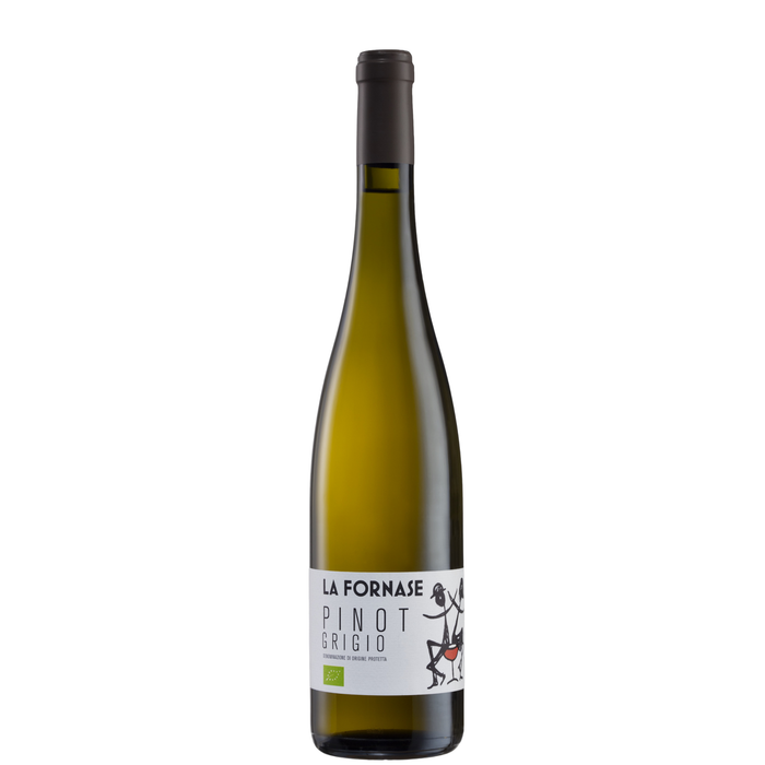 PINOT GRIGIO