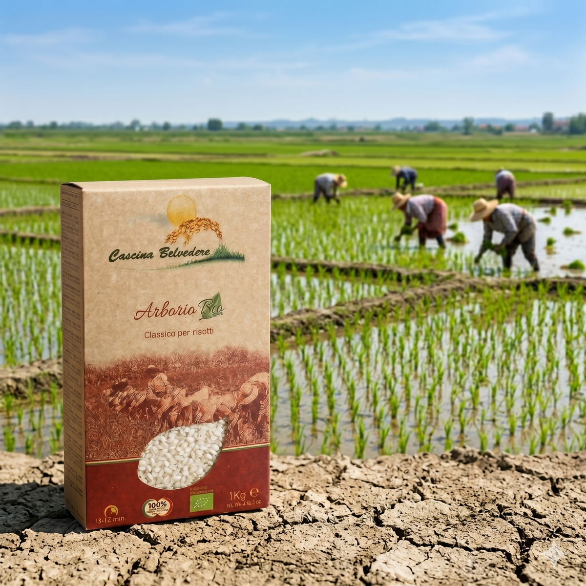 RISO ARBORIO BIO e GLUTEN FREE - CASCINA BELVEDERE  Risicoltori dal 1878